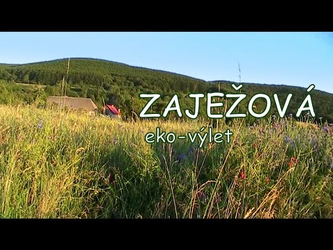 Zaježová - Zelená Škola